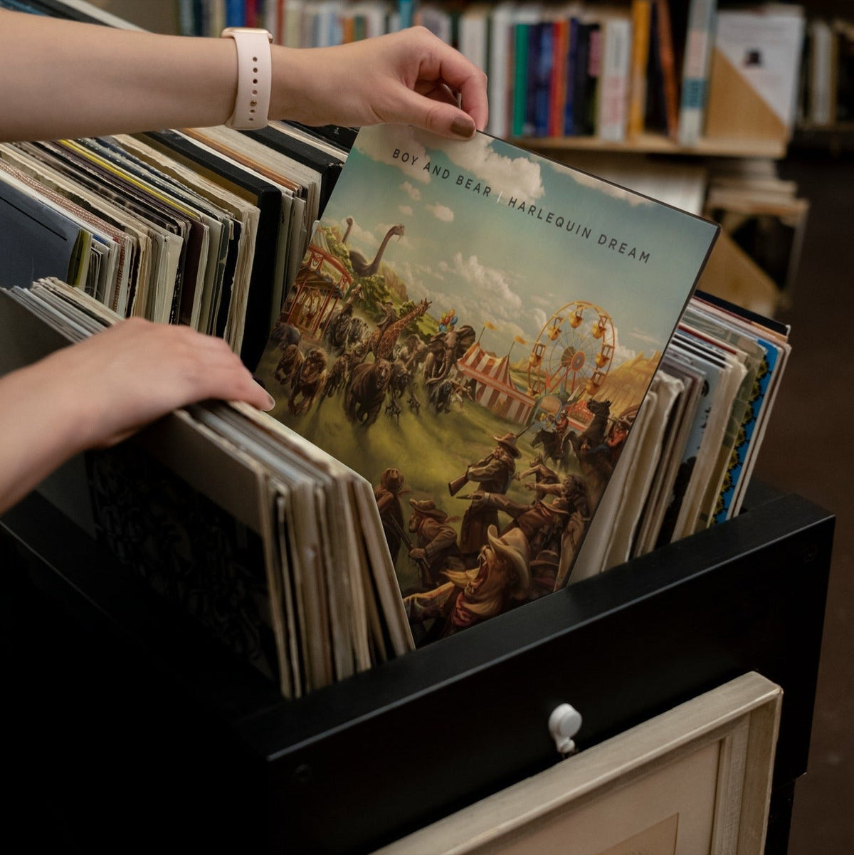 Boy & Bear - Harlequin Dream - 【Vinyl LP 】