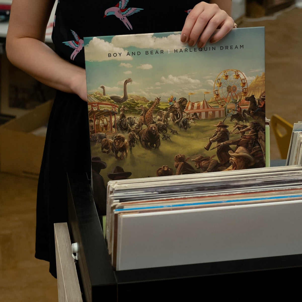 Boy & Bear - Harlequin Dream - 【Vinyl LP 】