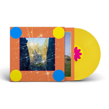 Caribou - Honey - 【Vinyl LP 】