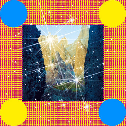 Caribou - Honey - 【Vinyl LP 】