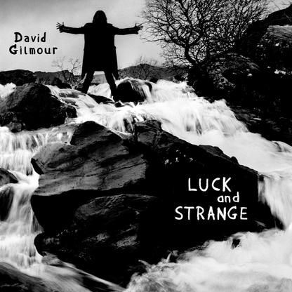 Luck and Strange: Limited Translucent Blue Vinyl LP [ vinyl ]