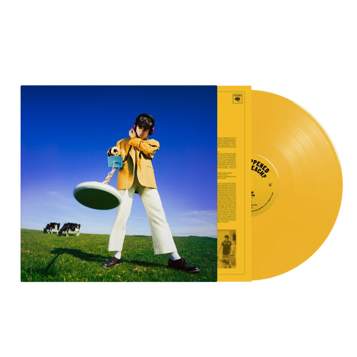 Declan McKenna - What Happened To The Beach? - Yellow 【Vinyl LP 】
