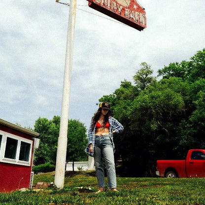 Tigers Blood: Vinyl LP (w/ Poster) [ vinyl ]