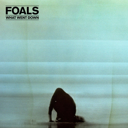Foals - What Went Down - 【Vinyl LP 】