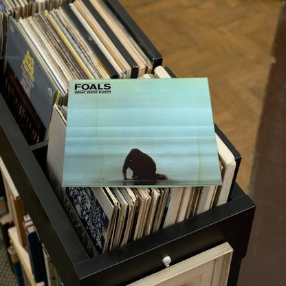 Foals - What Went Down - 【Vinyl LP 】