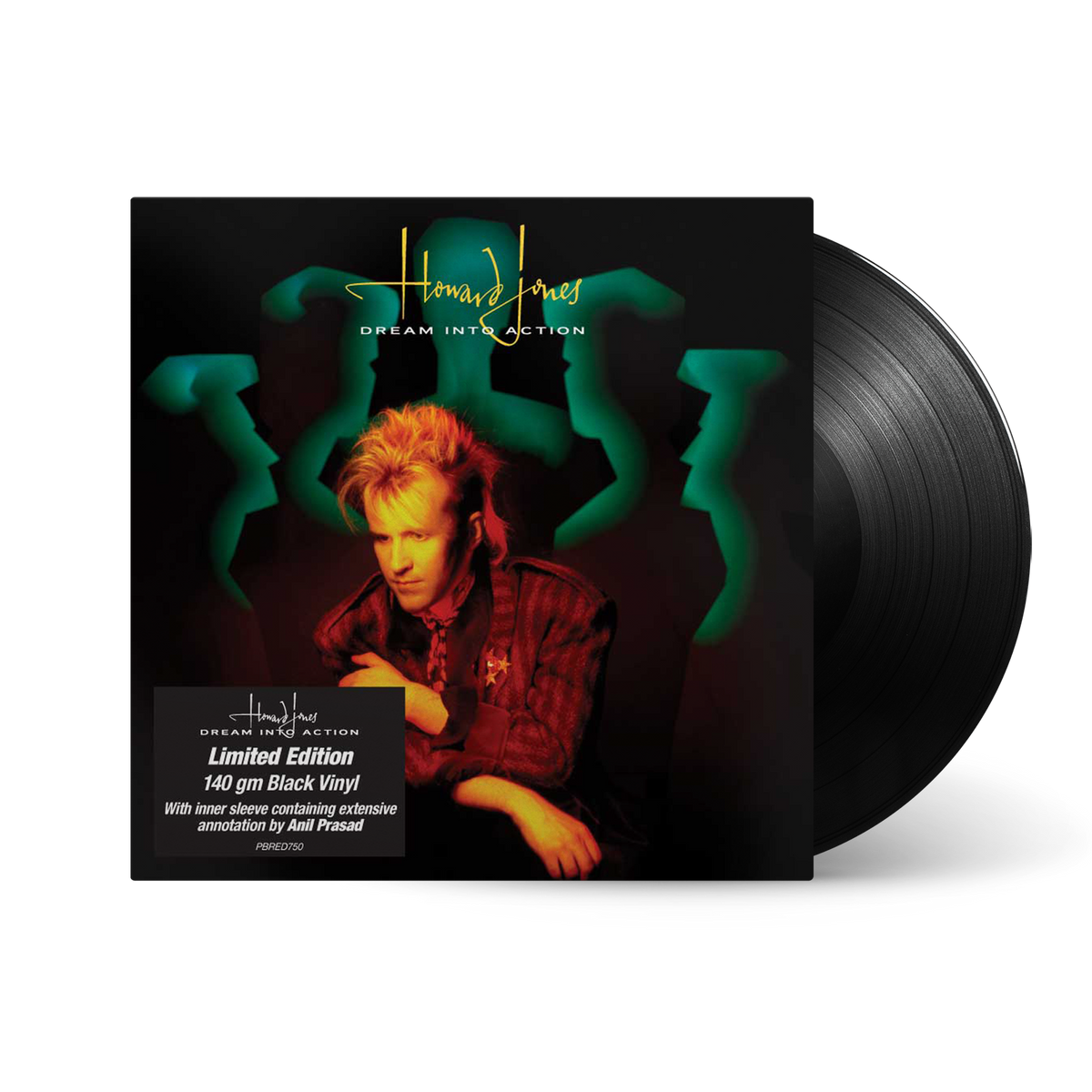 Dream Into Action: Vinyl LP [ vinyl ]