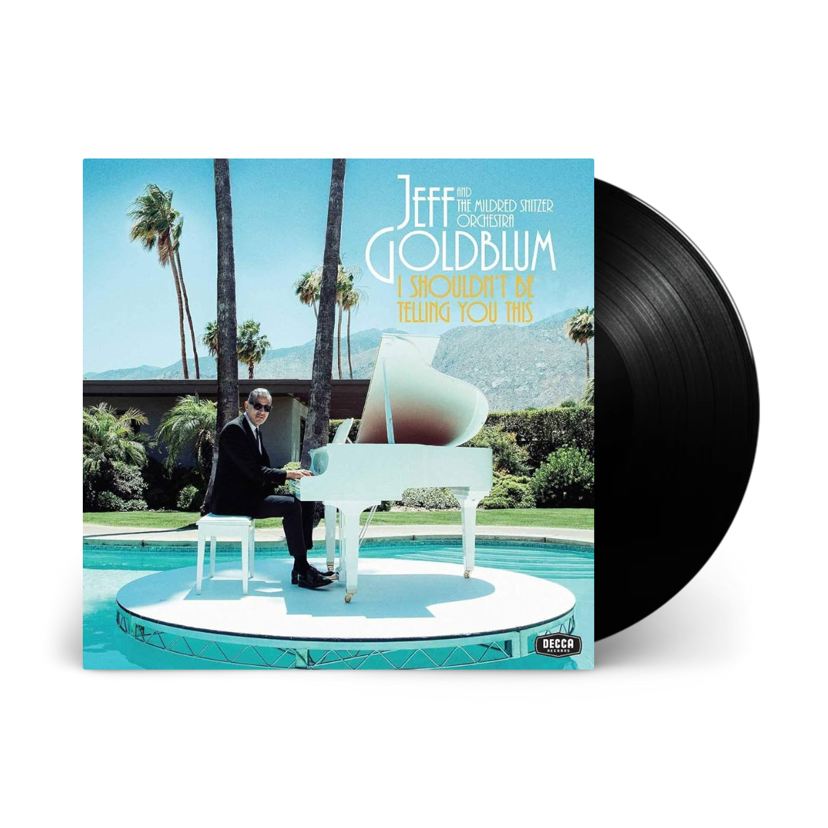 I Shouldn’t Be Telling You This: Vinyl LP [ vinyl ]