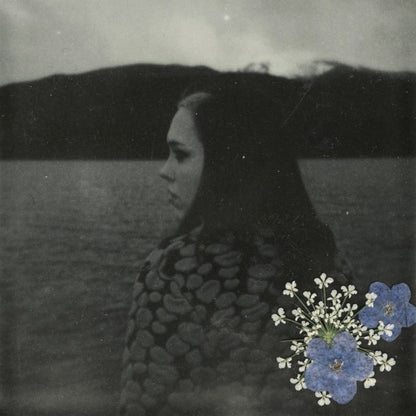 Evergreen: Vinyl LP [ vinyl ]