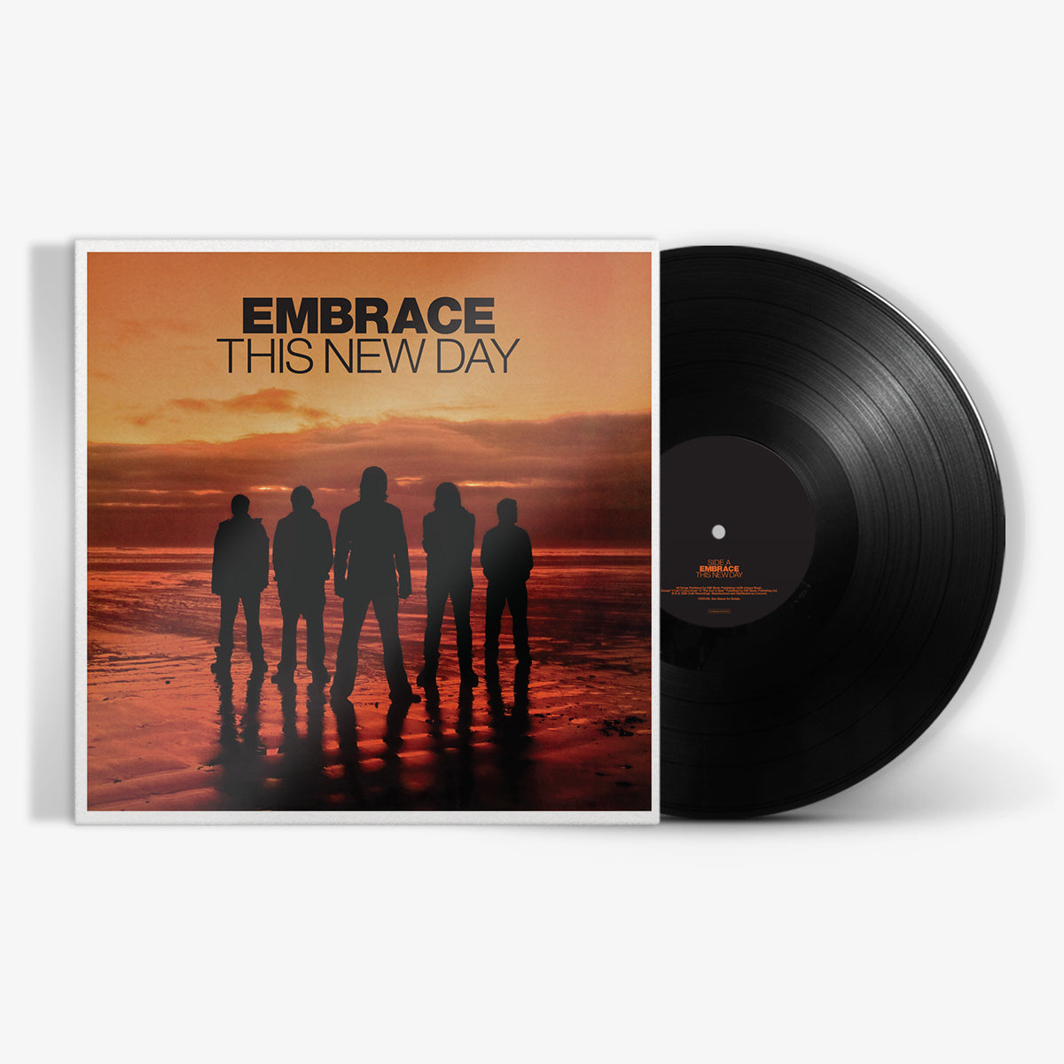 This New Day: 180gm Vinyl LP [ vinyl ]