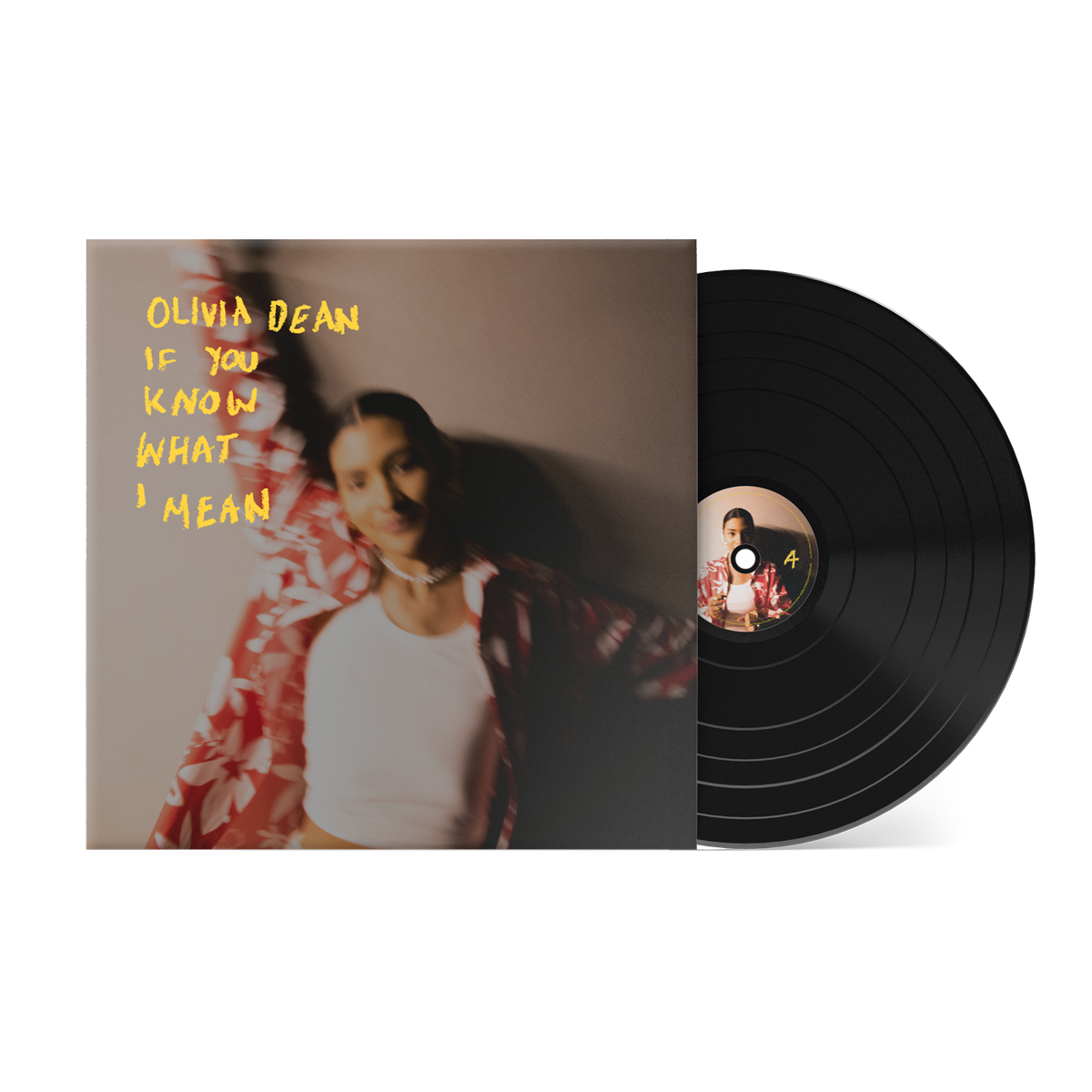 If You Know What I Mean [ vinyl ]