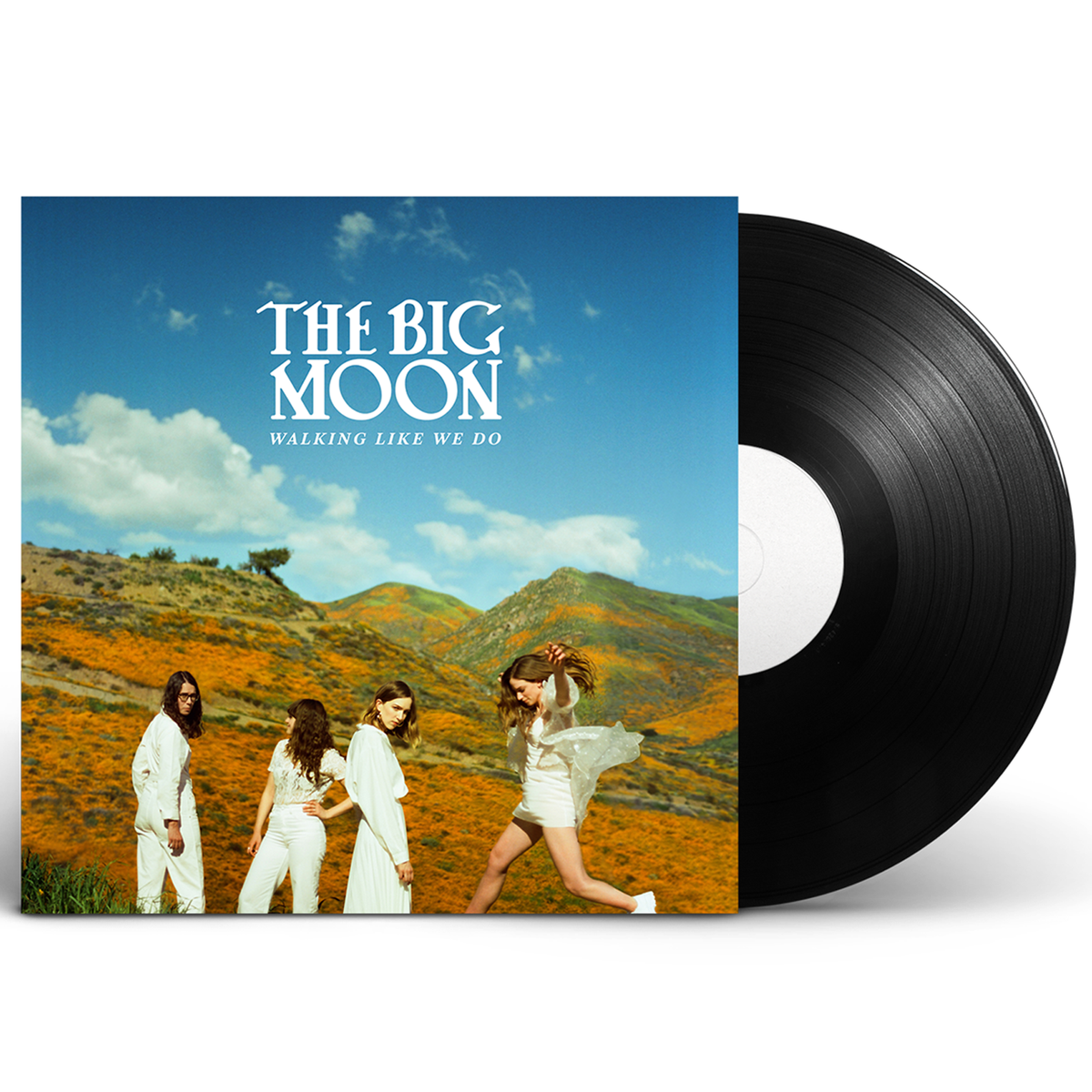 Walking Like We Do: Vinyl LP [ vinyl ]