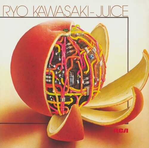 Ryo Kawasaki - Juice LP