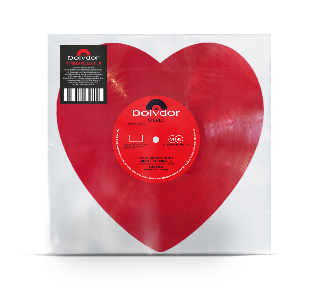 I Could Get Used To This / Remember 10" [ vinyl ]