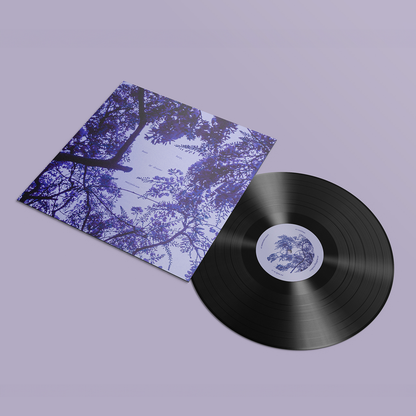 Harp, Beats & Dreams: Vinyl LP [ vinyl ]