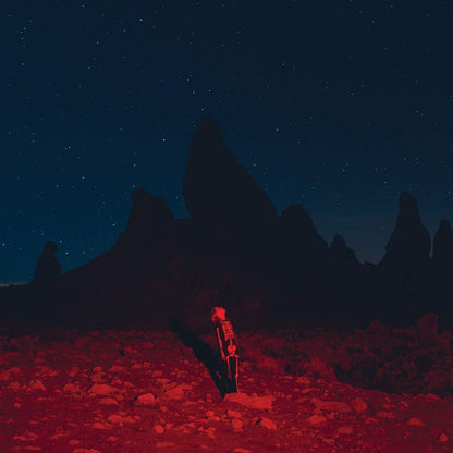 Phoebe Bridgers - Punisher - 【Vinyl LP 】