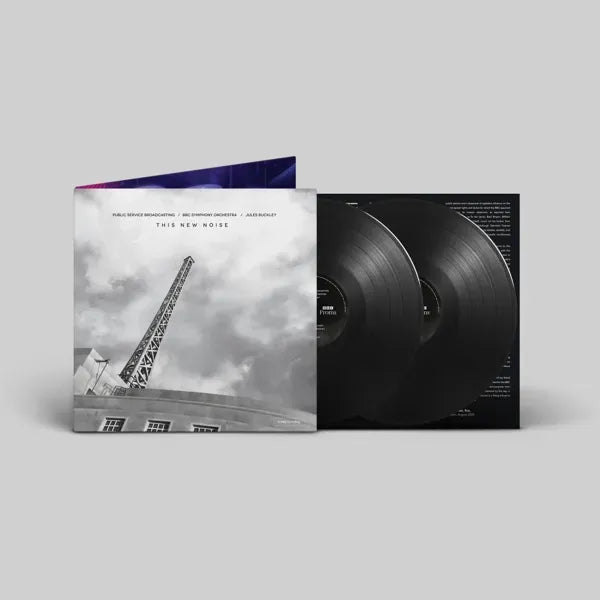 This New Noise: Vinyl 2LP [ vinyl ]