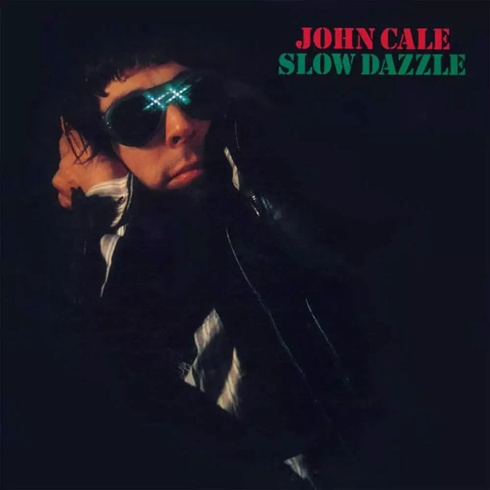 Slow Dazzle: Vinyl LP [ vinyl ]