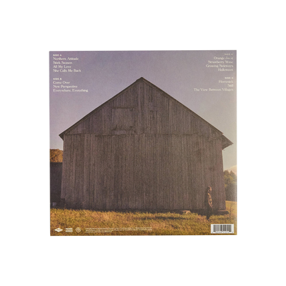 Stick Season: Vinyl 2LP [ vinyl ]