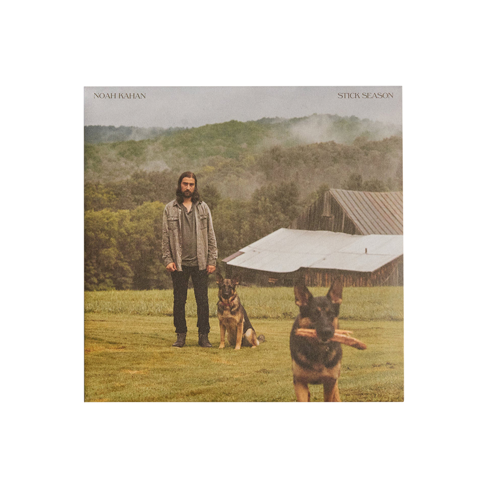 Stick Season: Vinyl 2LP [ vinyl ]