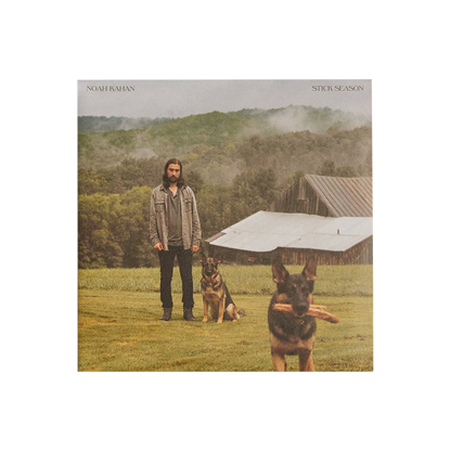 Stick Season: Vinyl 2LP [ vinyl ]