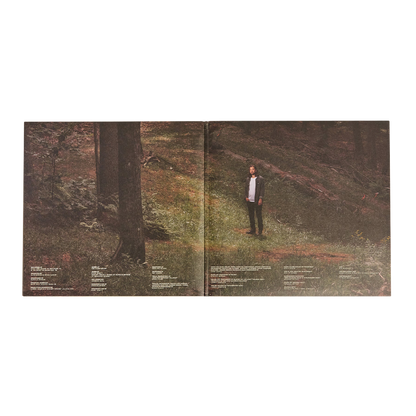 Stick Season: Vinyl 2LP [ vinyl ]