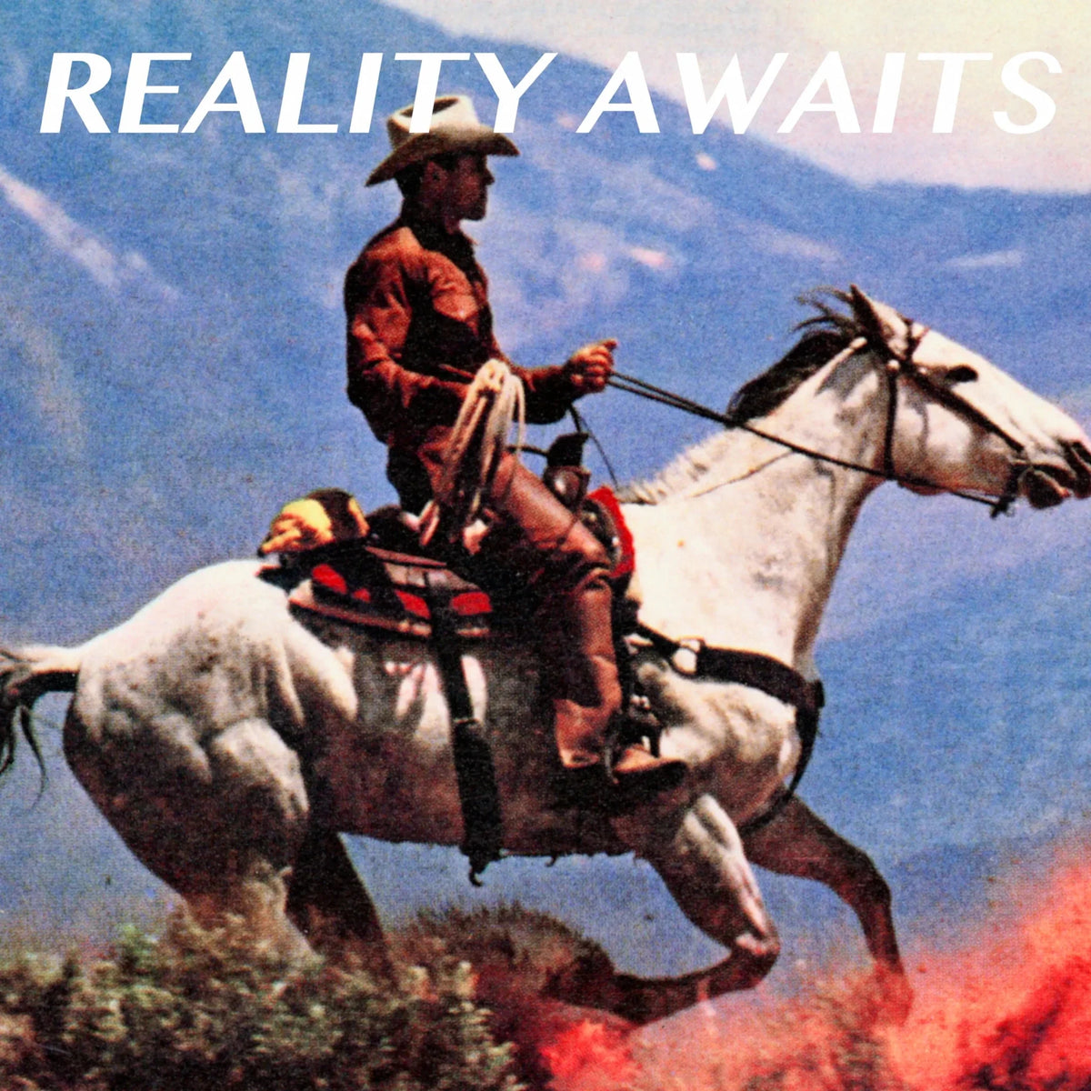 The Strokes - Reality Awaits - Vinyl LP Record
