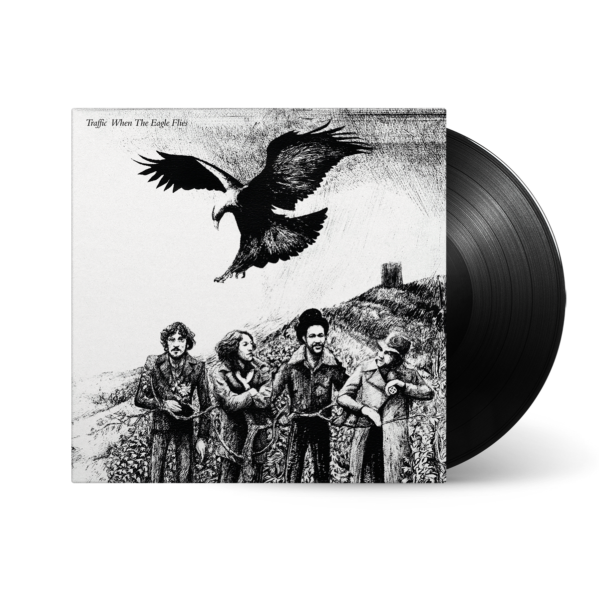 When The Eagle Flies: Vinyl LP [ vinyl ]