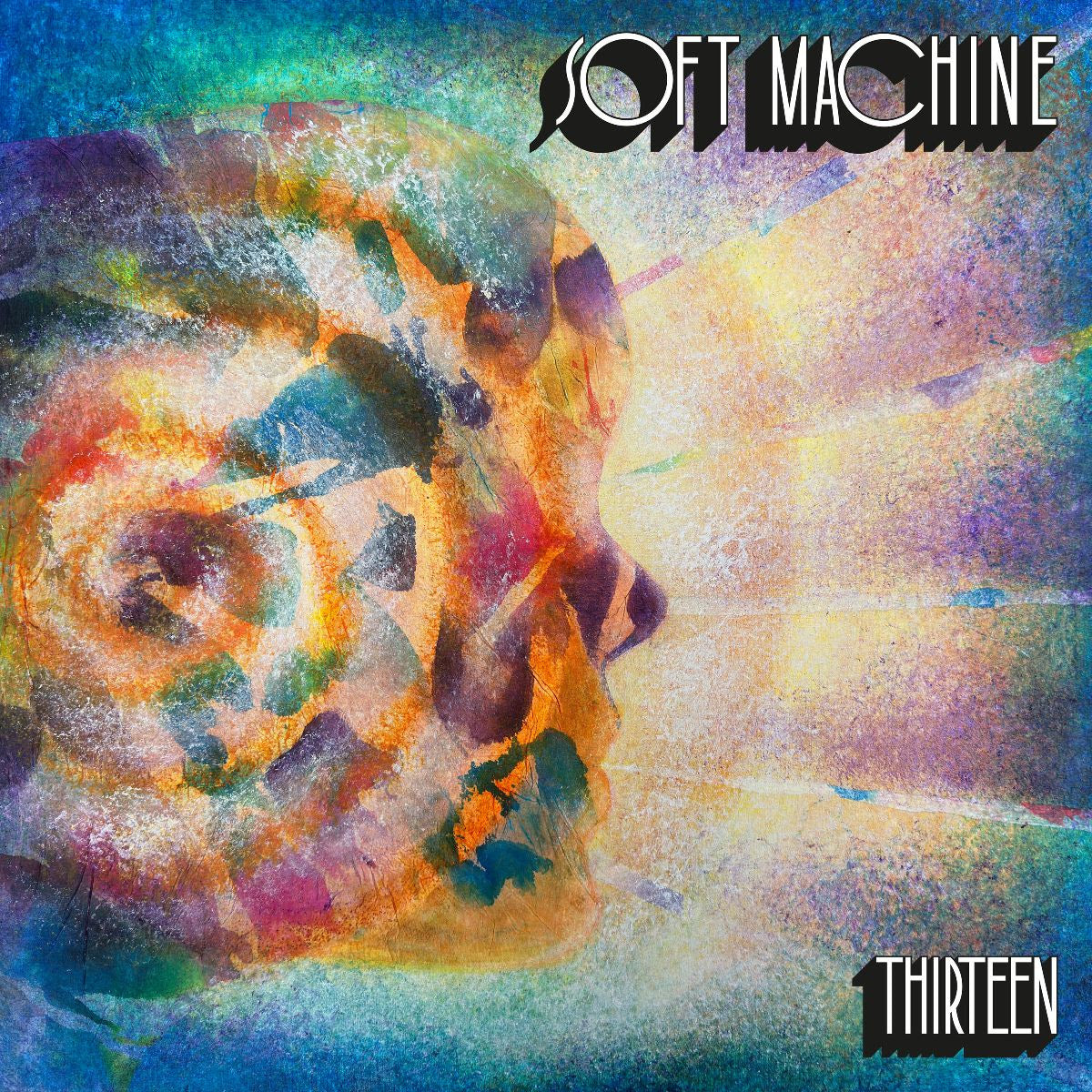 Thirteen: Vinyl 2LP [ vinyl ]