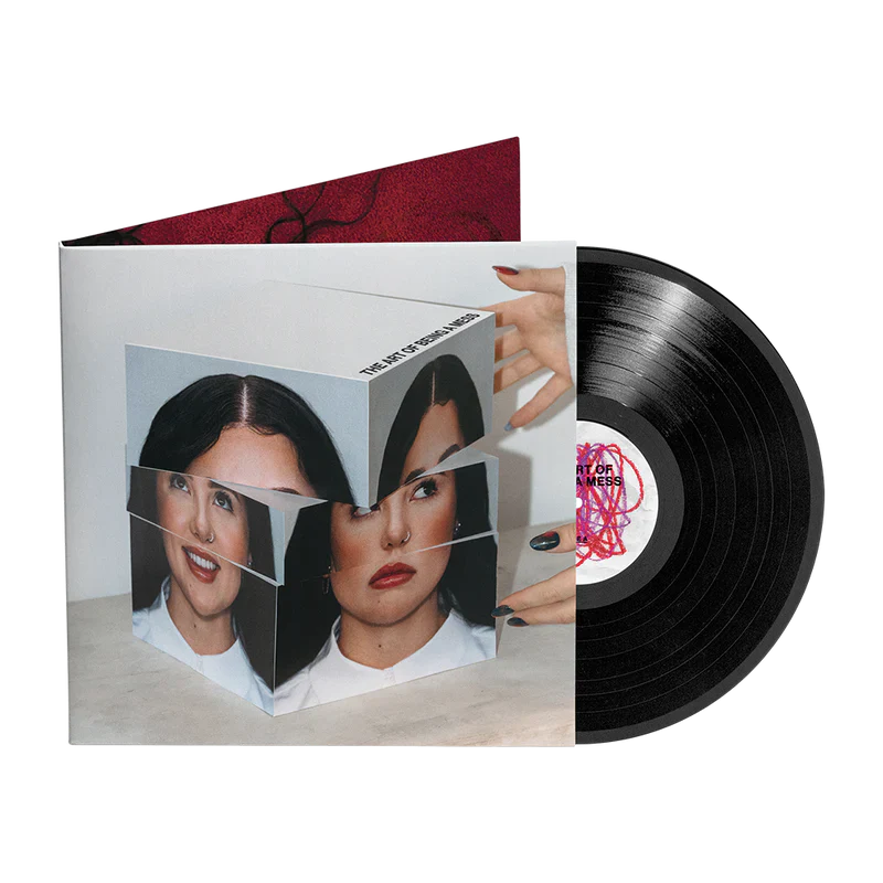 The Art of Being A Mess LP [ vinyl ]