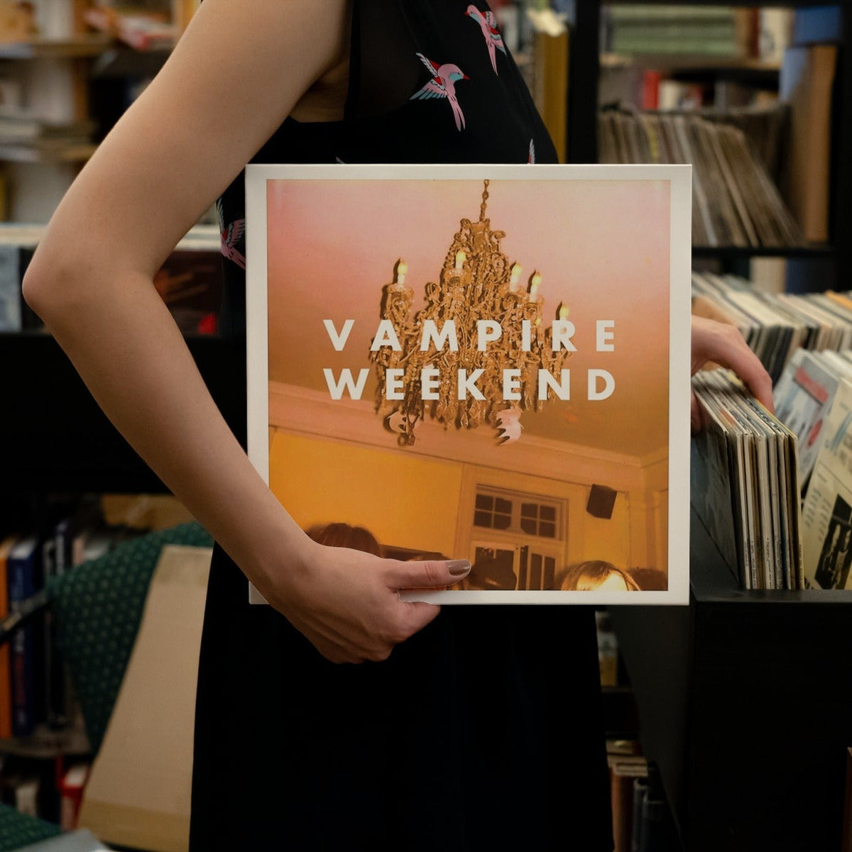 Vampire Weekend - Vampire Weekend - 【Vinyl LP 】