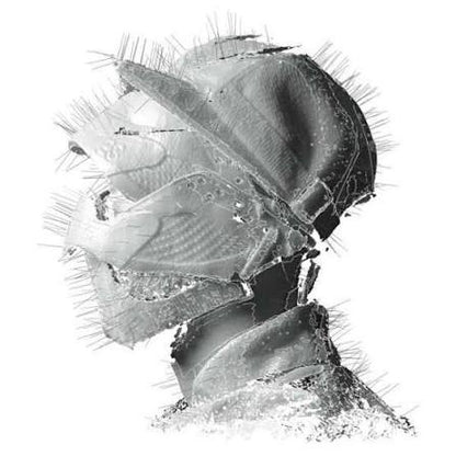 Woodkid - The Golden Age - Vinyl LP Record