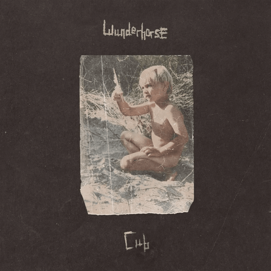 Wunderhorse - Cub - Clear 【Vinyl LP 】